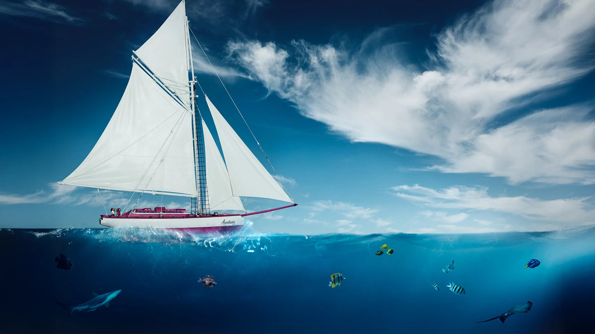 The Anastasia sailing ship from Ilvie Little crossing the ocean above a colorful underwater world