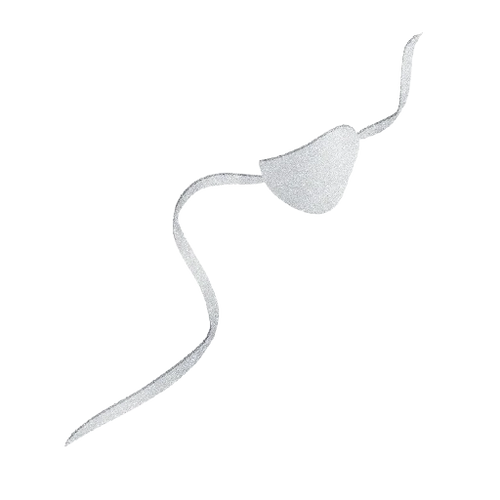 Silver pirate eye patch from the Ilvie Little stories